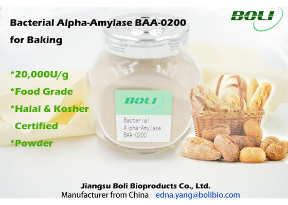 البكتيرية ألفا أميليز BAA-0200 للخبز 20000U / G في الغذاء