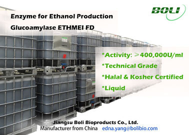 انزيم عالي النشاط Glucoamylase ETHMEI FD لإنتاج الإيثانول