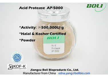 تحويل البروتينات إلى حمض الببتيد بروتياز مستقر AP-5000 Activity 500000 U / g