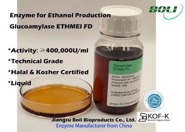 نشاط إنزيم عالي التركيز Glucoamylase Ethmei Fd لإنتاج الإيثانول
