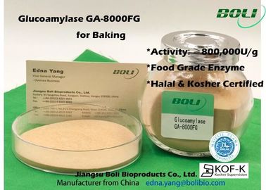 مسحوق عالي التركيز Glucoamylase Enzyme GA - 8000FG 800000U / G للصناعات الغذائية