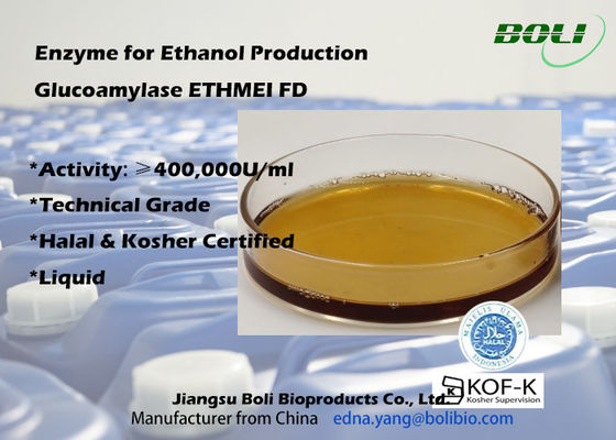 نشاط انزيم Glucoamylase عالي الفعالية ETHMEI FD لإنتاج الإيثانول