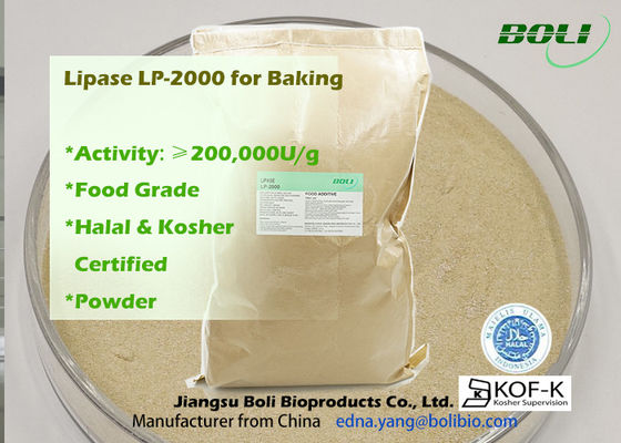 200000u / G مسحوق Lp-2000 إنزيم ليباز عالي الكفاءة للاستخدام في أغذية المخابز